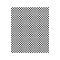 Papier ingraissable Noir-Blanc 28x34cm (8A01)